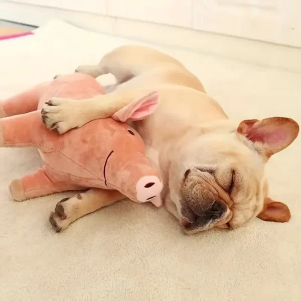 Cute pig squeaky plush toy for dogs