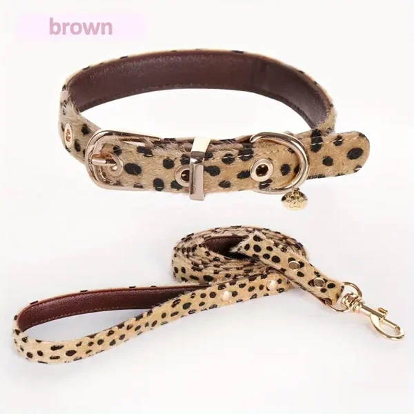 Leash & Chic: Leopard Edition